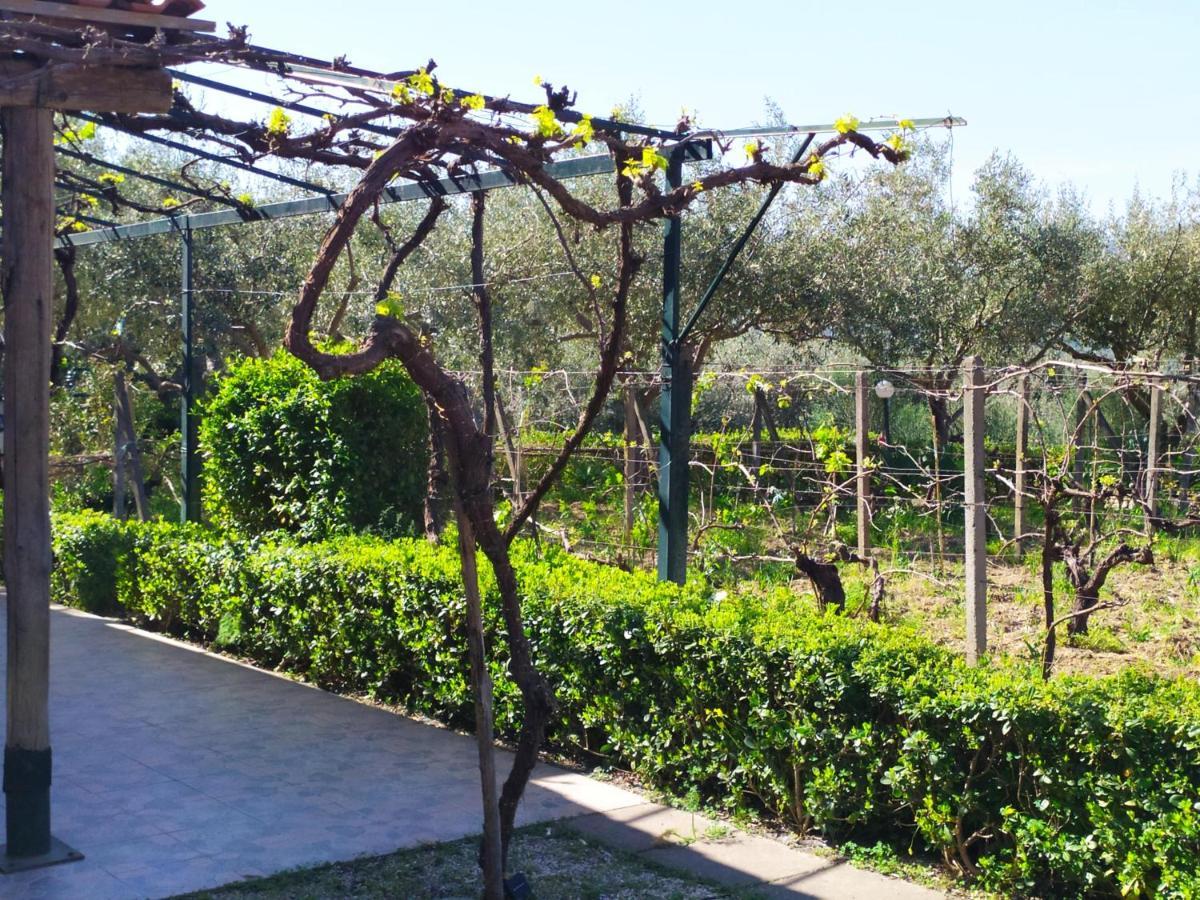 Il Vigneto "Cottage" Gaggi Buitenkant foto