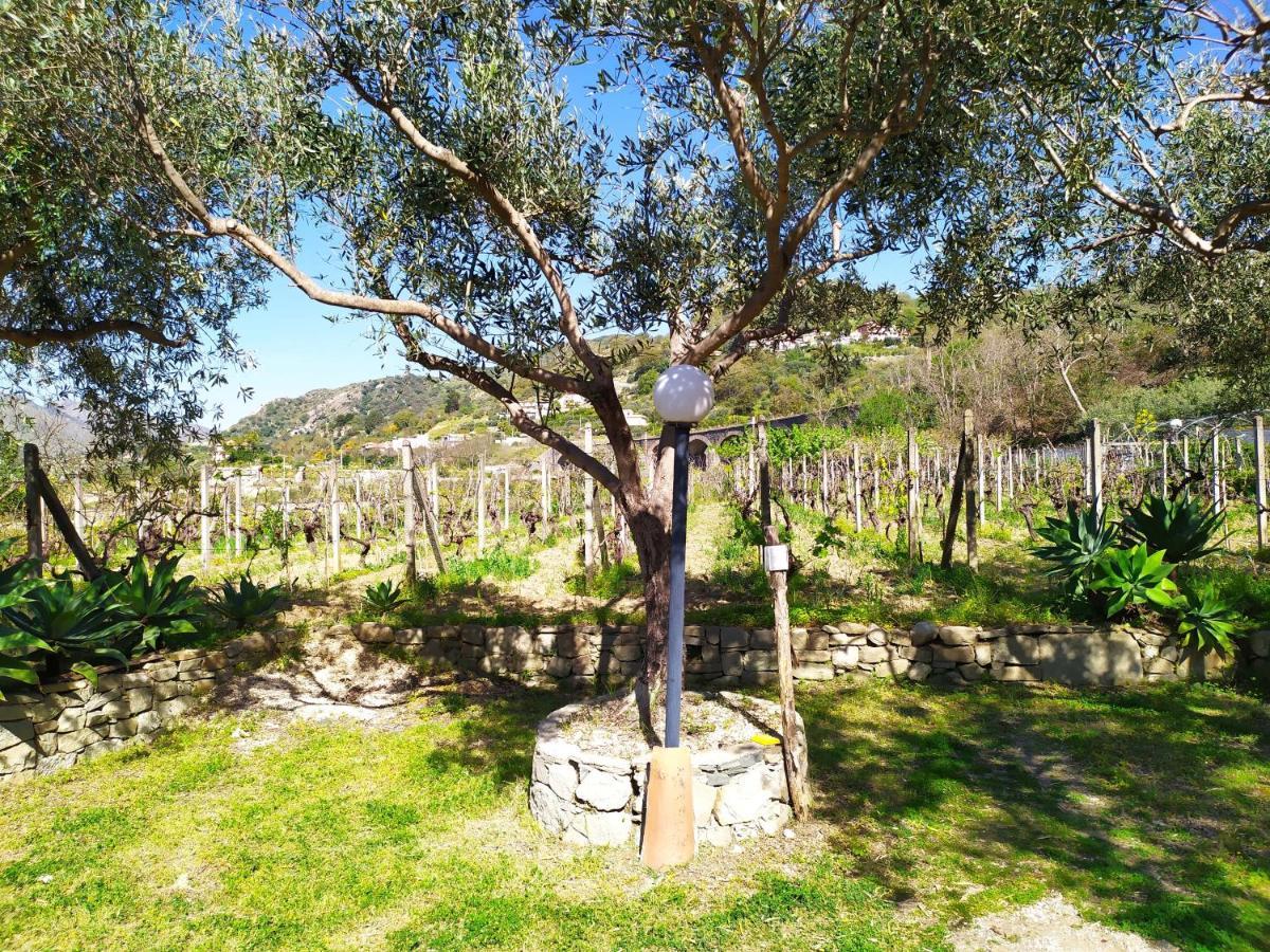 Il Vigneto "Cottage" Gaggi Buitenkant foto