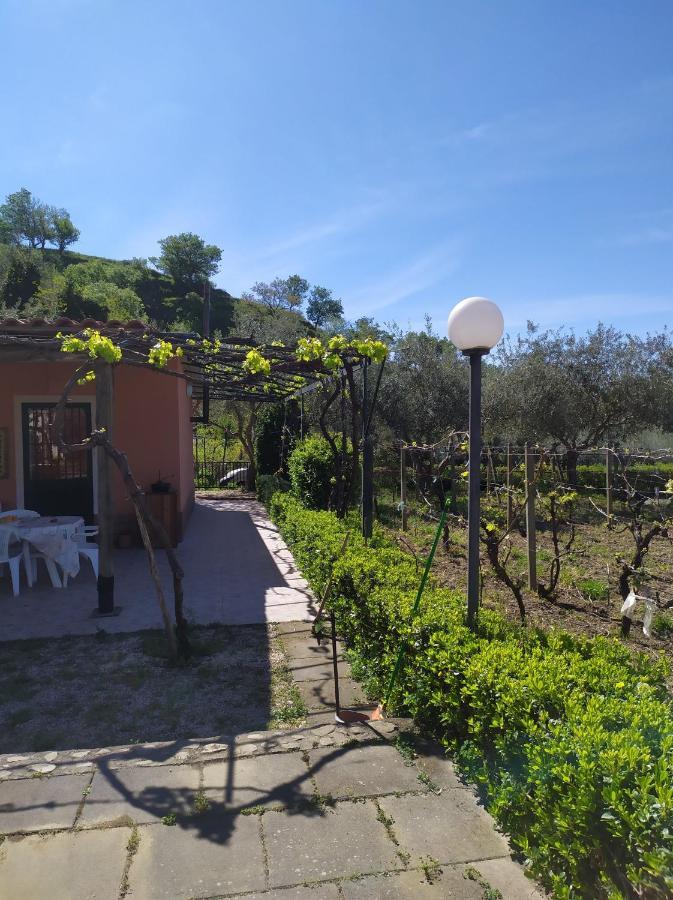 Il Vigneto "Cottage" Gaggi Buitenkant foto