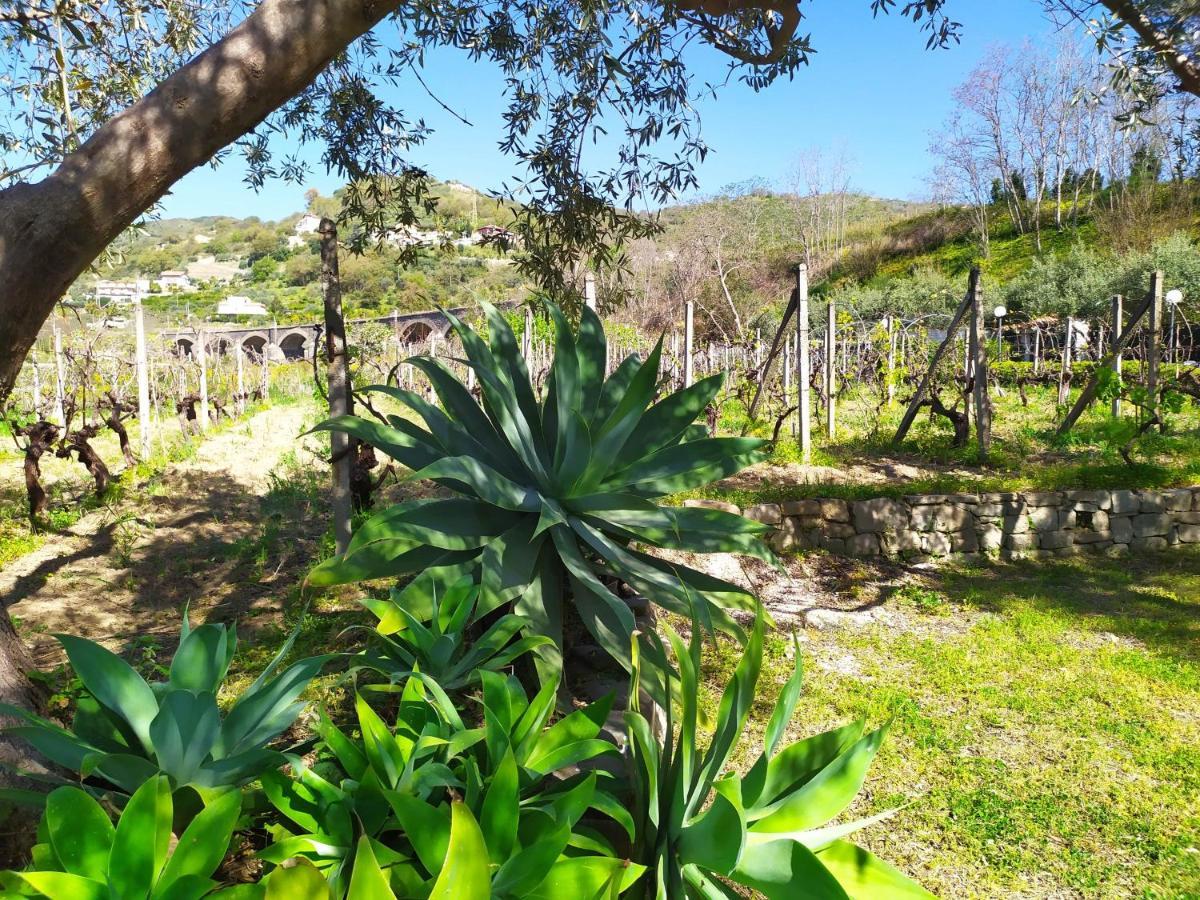 Il Vigneto "Cottage" Gaggi Buitenkant foto